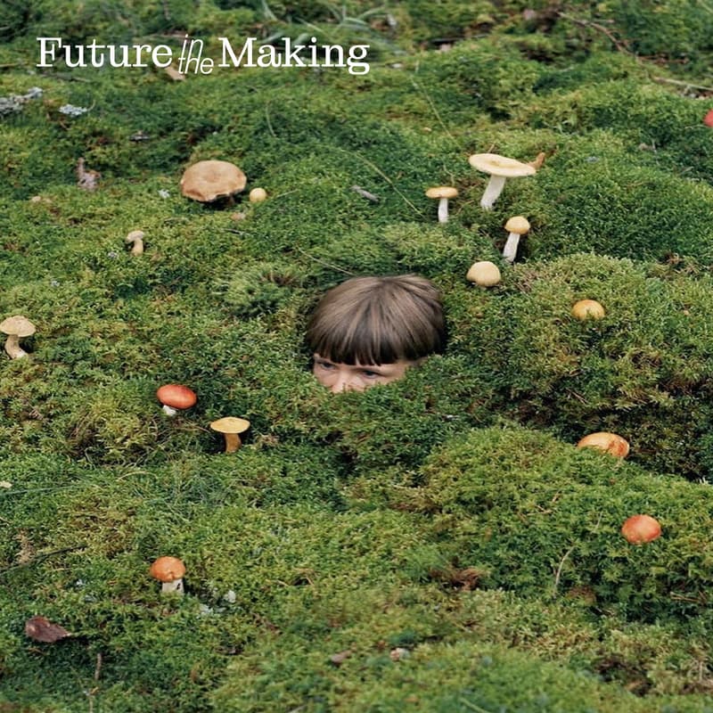 Cover Image for In the Woods: Wayfinding your Future