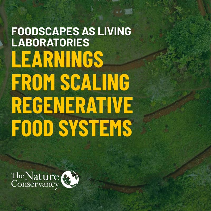 Cover Image for Foodscapes as Living Laboratories: Learnings from Scaling Regenerative Food Systems