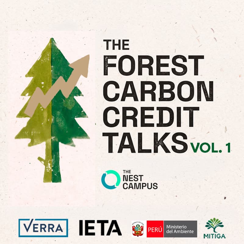 Cover Image for Unlocking the Potential of REDD+: Aligning High-Integrity Credits with Article 6