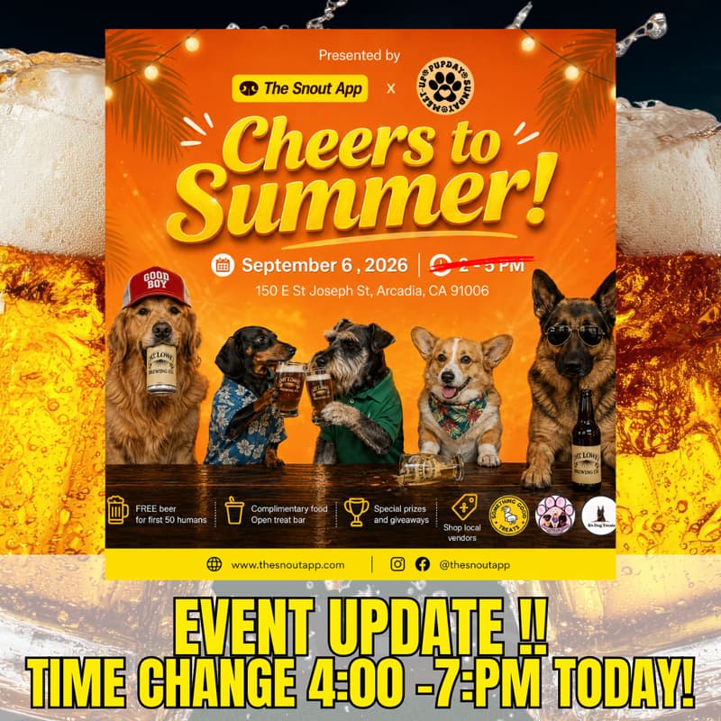 Cover Image for Cheers to Summer!