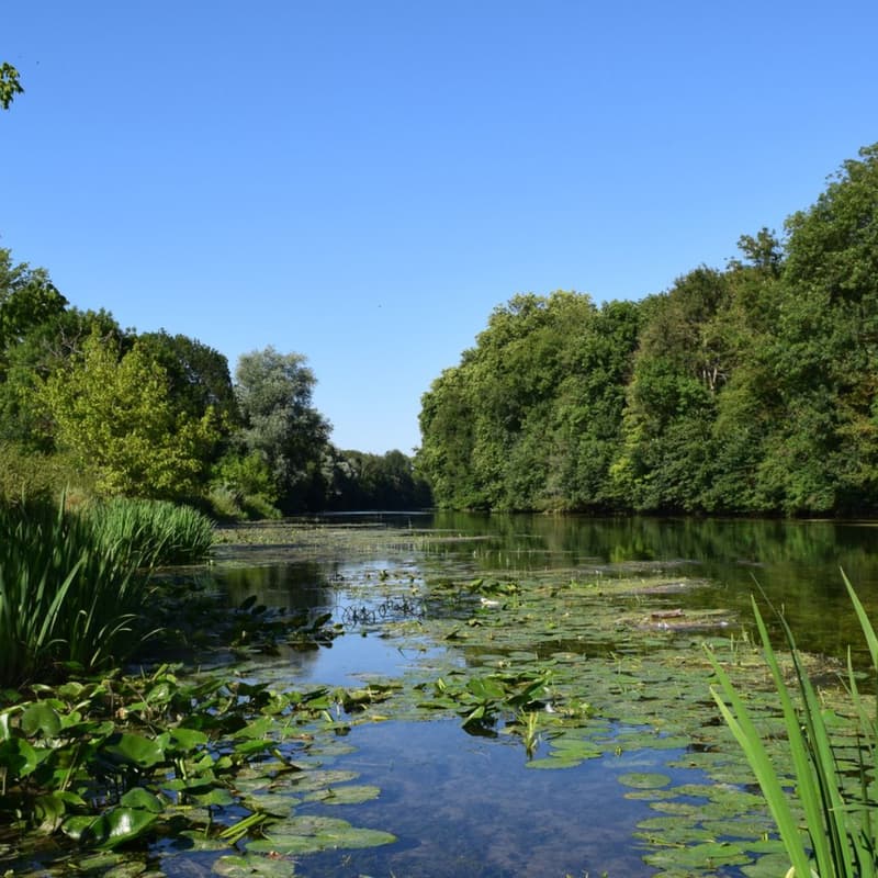 Cover Image for Planifier la compensation écologique
