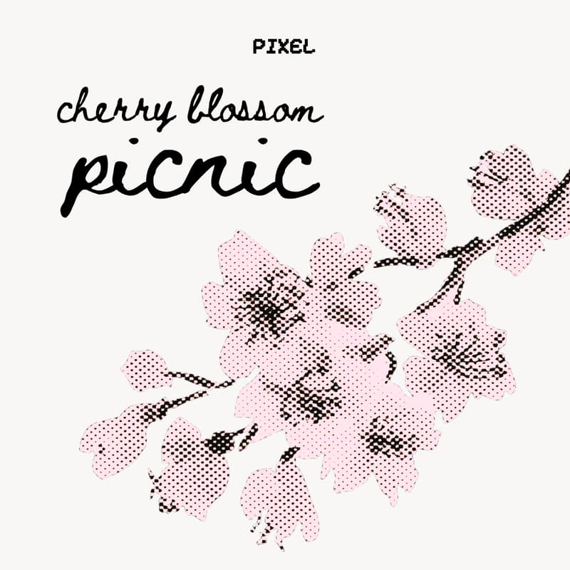 Cover Image for cherry blossom picnic 🌸
