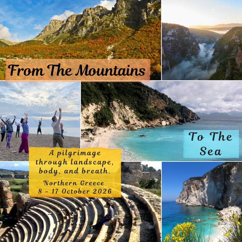 Cover Image for From The Mountains to The Sea