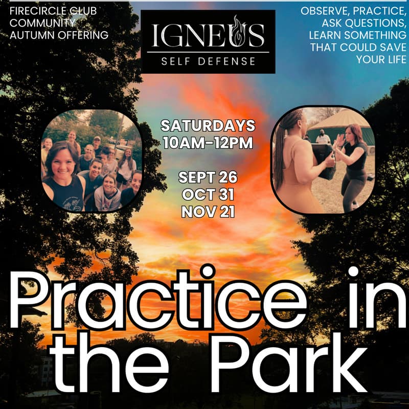 Cover Image for Practice In The Park