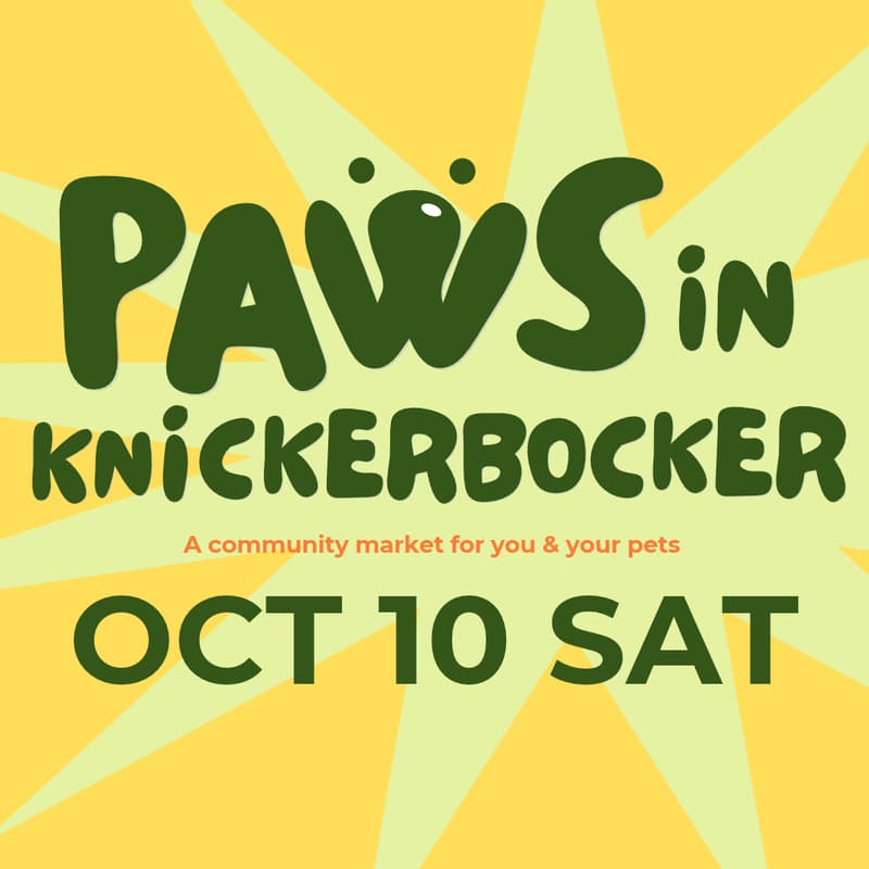 Cover Image for PAWS IN KNICKERBOCKER