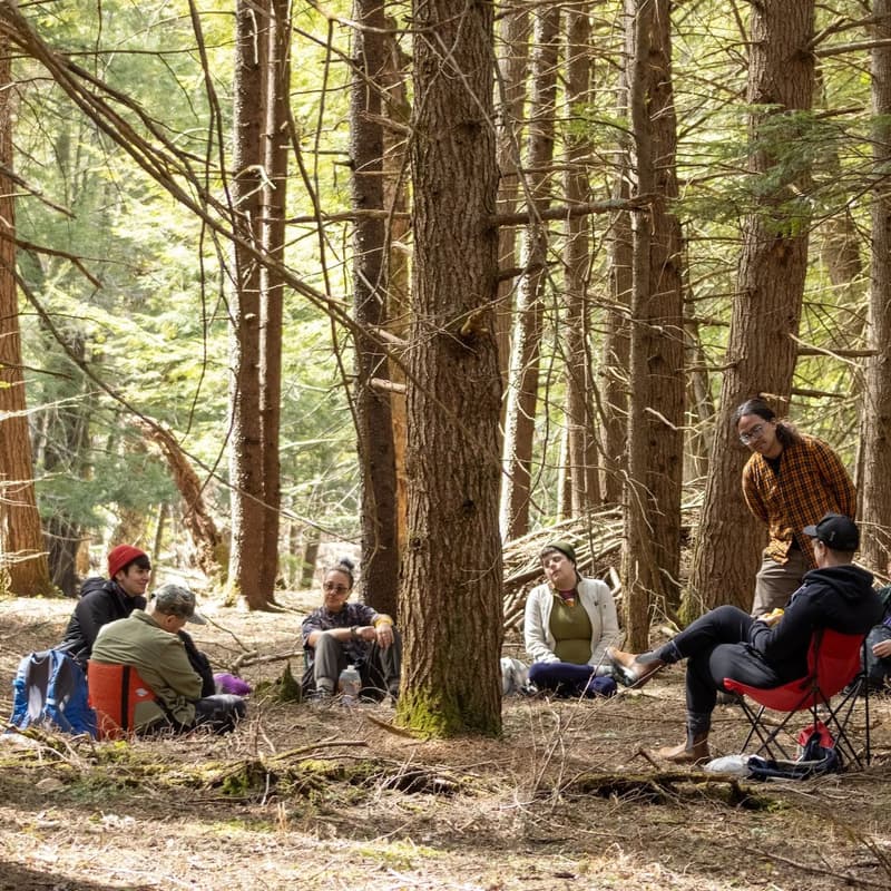 Cover Image for Fall Queer Forest Bathing Retreat with Toadstool Walks