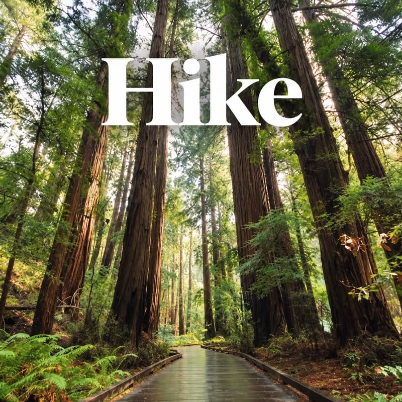 Cover Image for Muir Woods w/ Byte