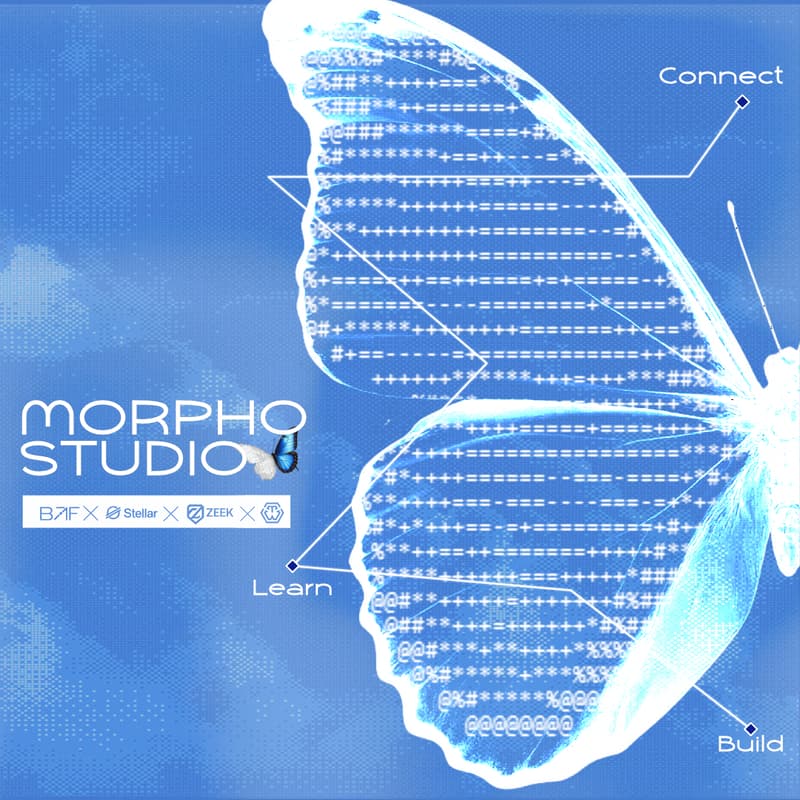 Cover Image for Morpho Studio: Intro Session