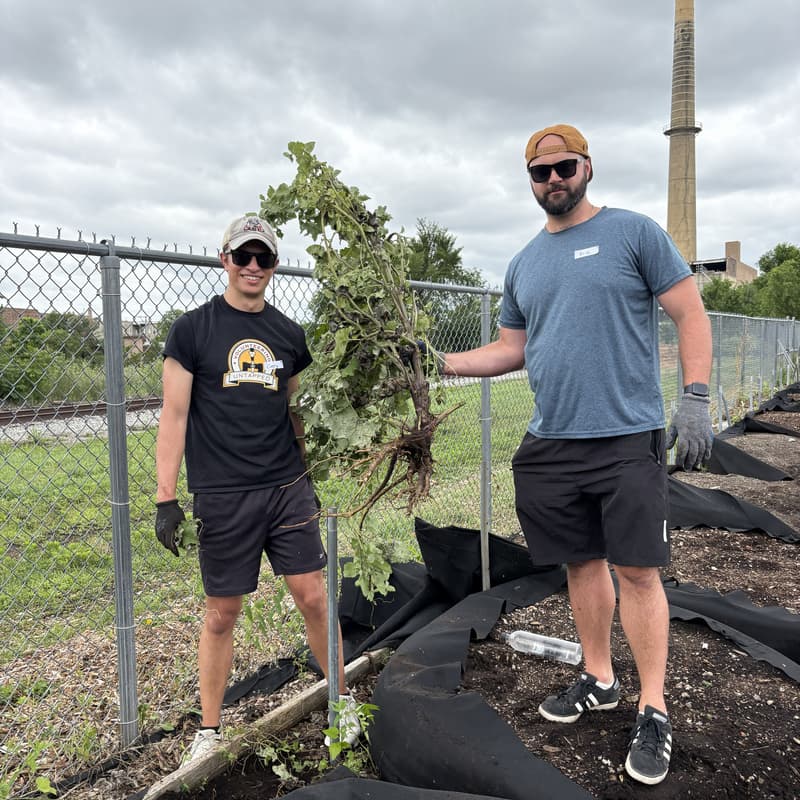 Cover Image for Volunteer with Gardeneers at Homan Rails Farm (Volunteering Untapped Chicago)
