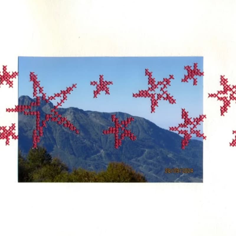 Cover Image for stitch club: cross stitch photography