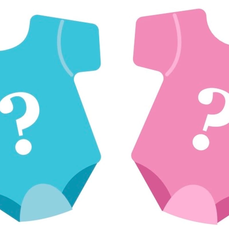 Cover Image for Gender Reveal