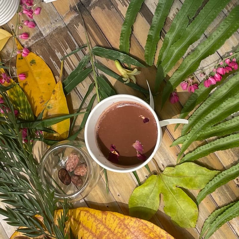 Cover Image for cacao & bain sonore