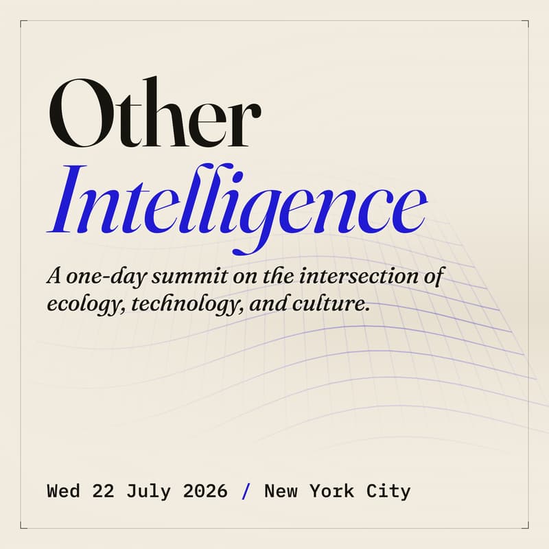 Cover Image for Other Intelligence
