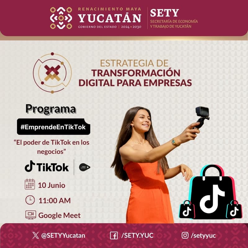 Cover Image for El poder de TikTok en los negocios