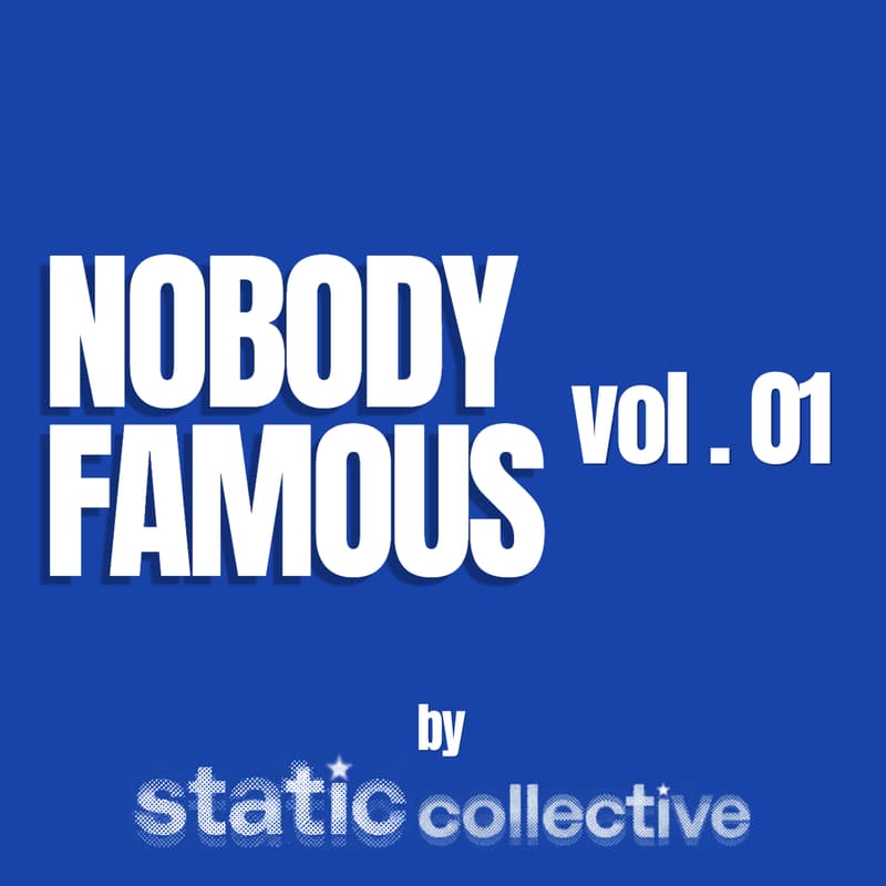 Cover Image for NOBODY FAMOUS vol.01