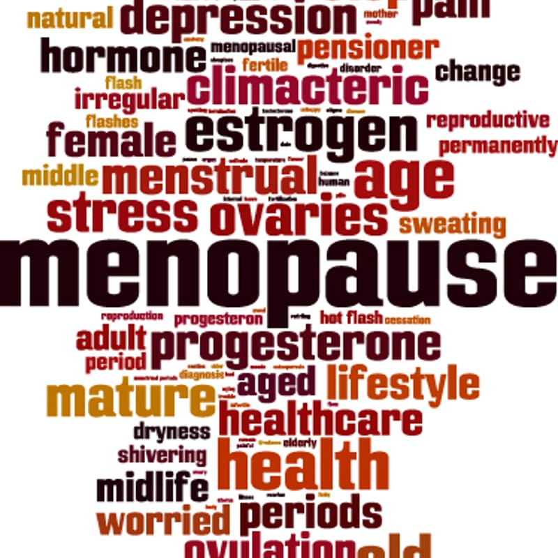 Cover Image for Menopause: GenX Style