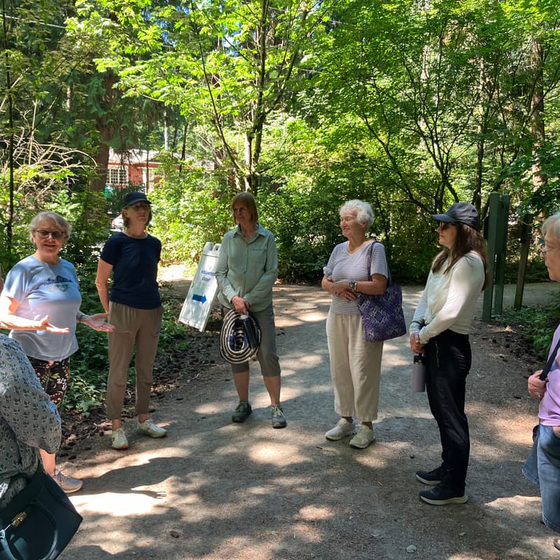 Cover Image for Mindfulness Walk in Pioneer Park