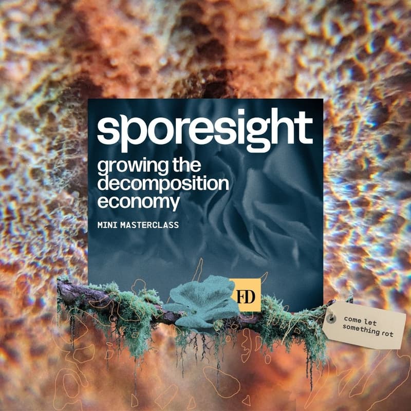 Cover Image for Sporesight Mini Masterclass: Growing the Decomposition Economy