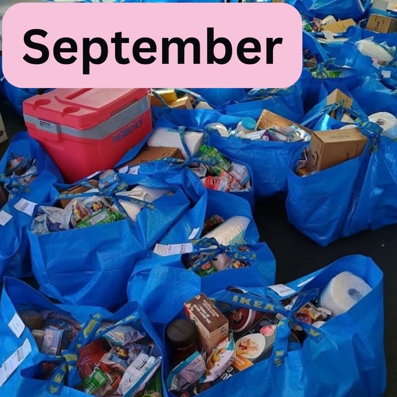 Cover Image for Essentials Packing
