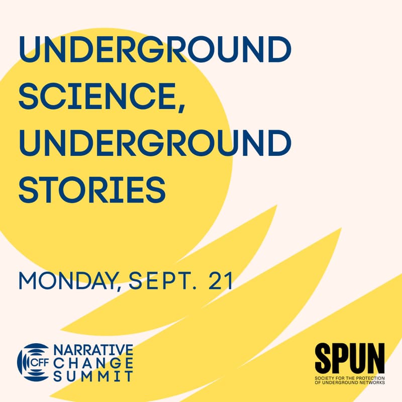 Cover Image for Underground Science, Underground Stories