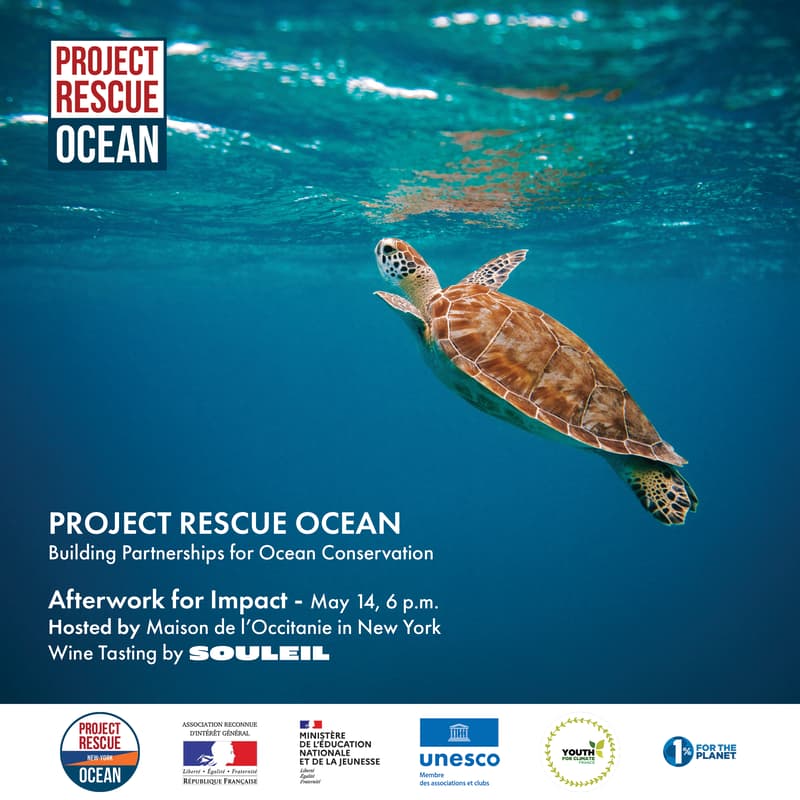 Cover Image for Project Rescue Ocean - New York