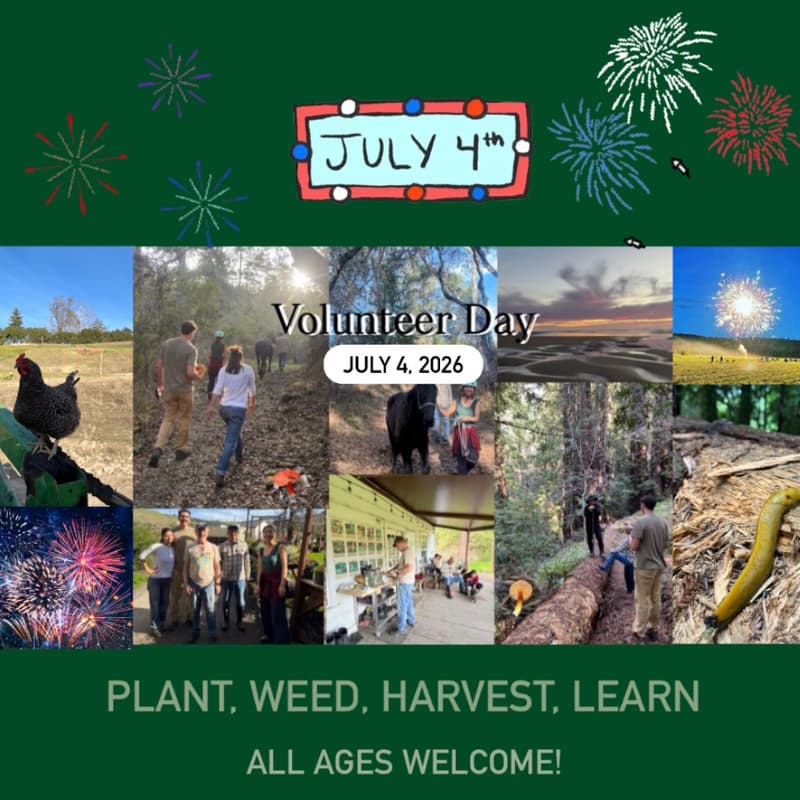 Cover Image for Saturday Volunteer Day at Rancho San Gregorio