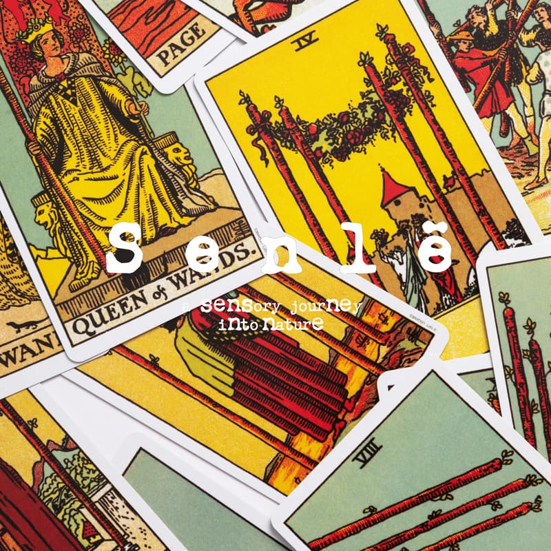 Cover Image for Personal Tarot Reading x Incense