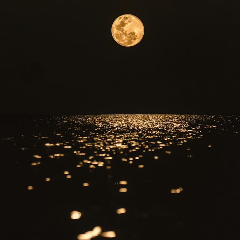 Cover Image for Fruitful's full Moon Gathering | Aquarius Edition