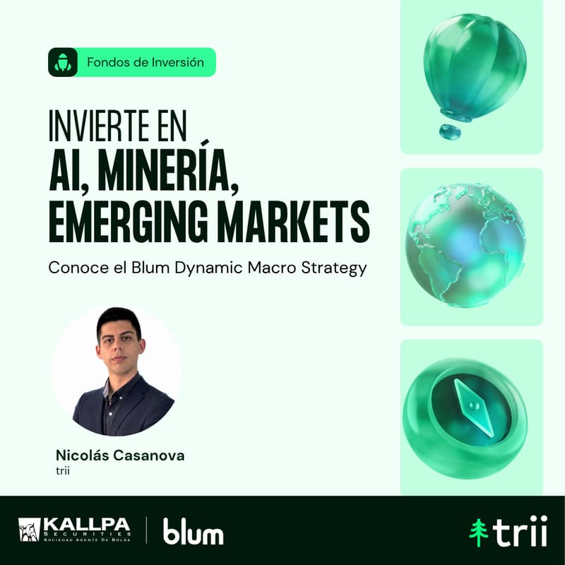 Cover Image for Invierte en AI, minería e emerging markets: Blum Dynaminc Macro Strategy