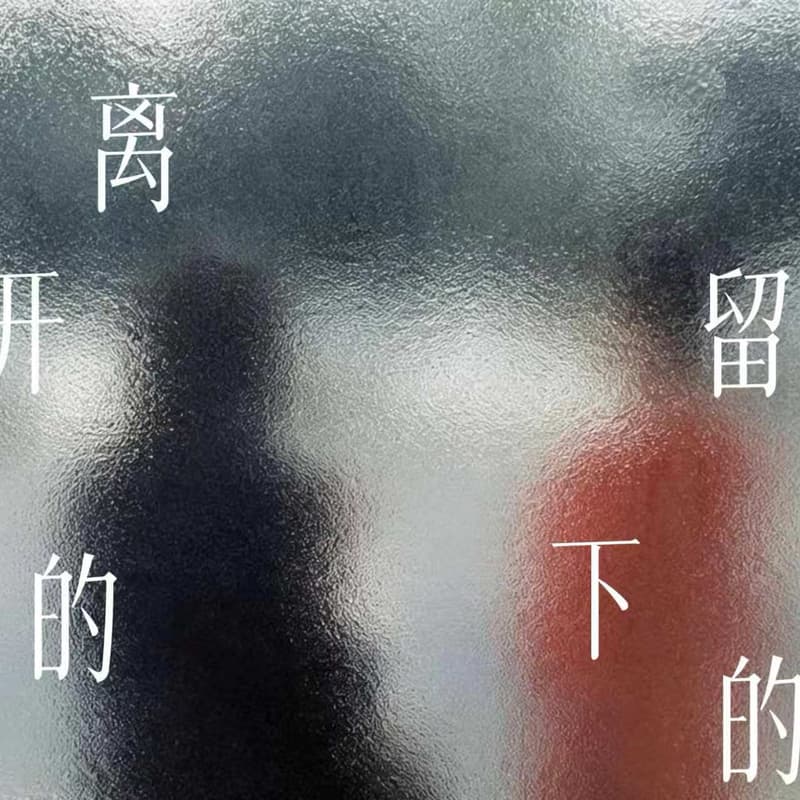 Cover Image for 女权社群后,离开的,留下的…
