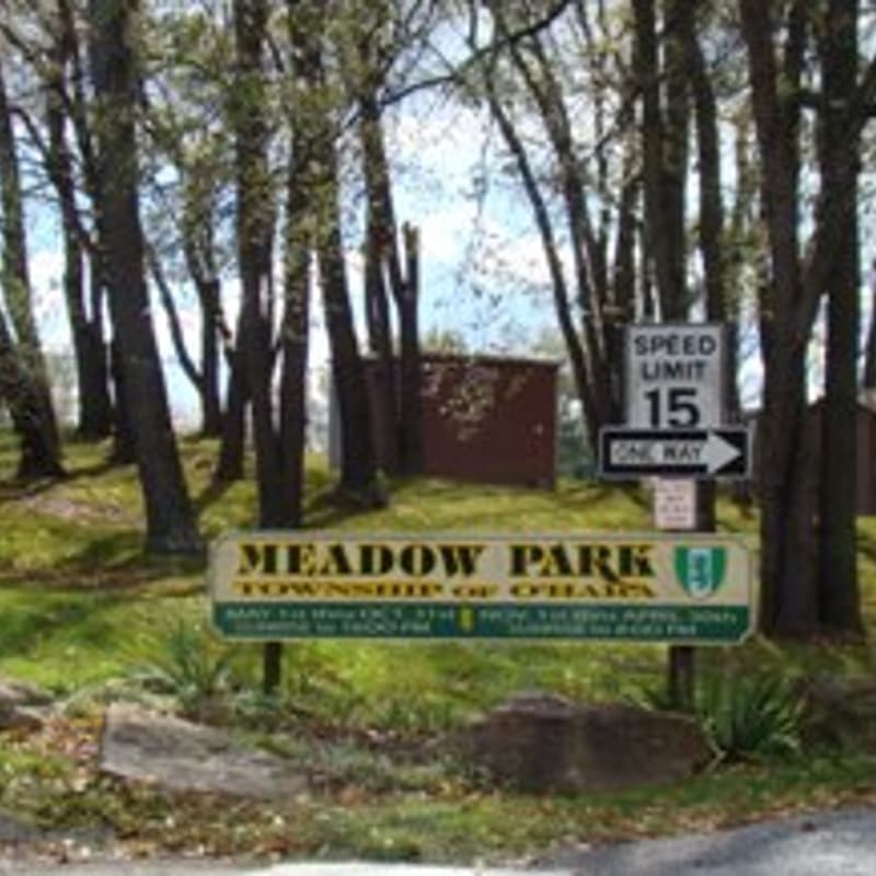 Cover Image for Meadow Park Community Block Party