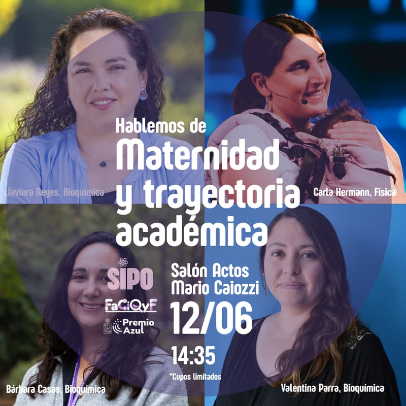 Cover Image for Hablemos de: Maternidad y Trayectoria Académica