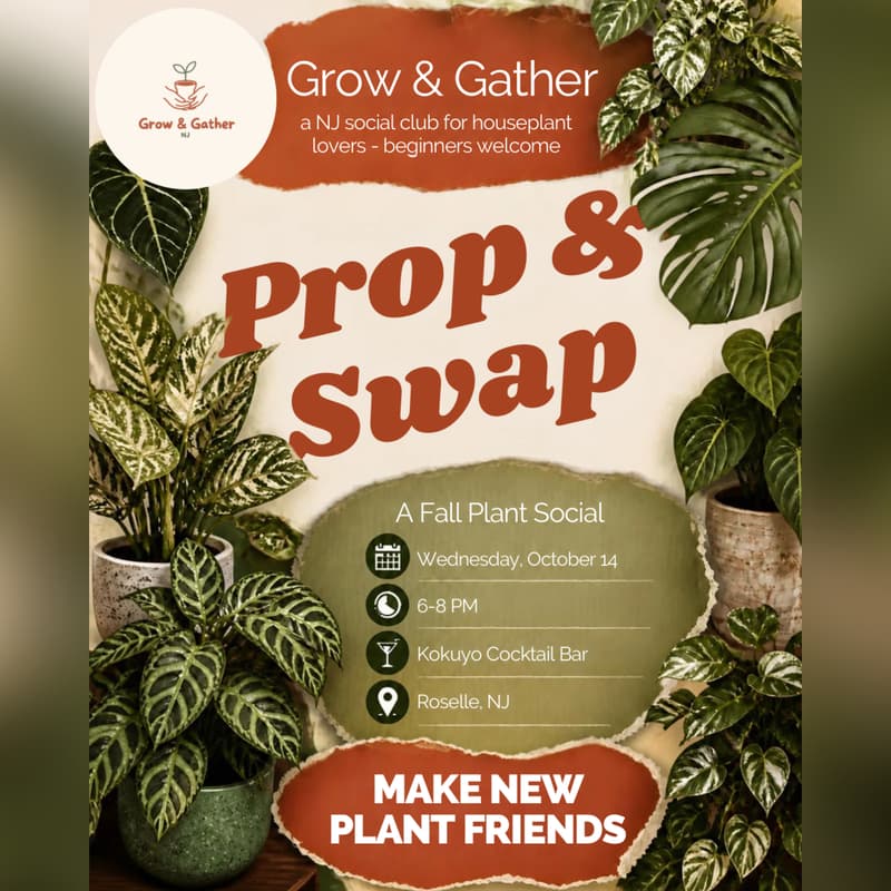 Cover Image for Prop & Swap: A Fall Plant Social