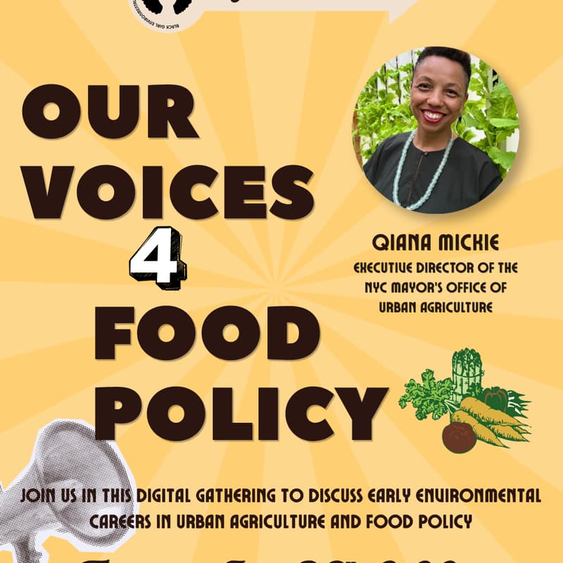 Cover Image for Our Voices for Policy