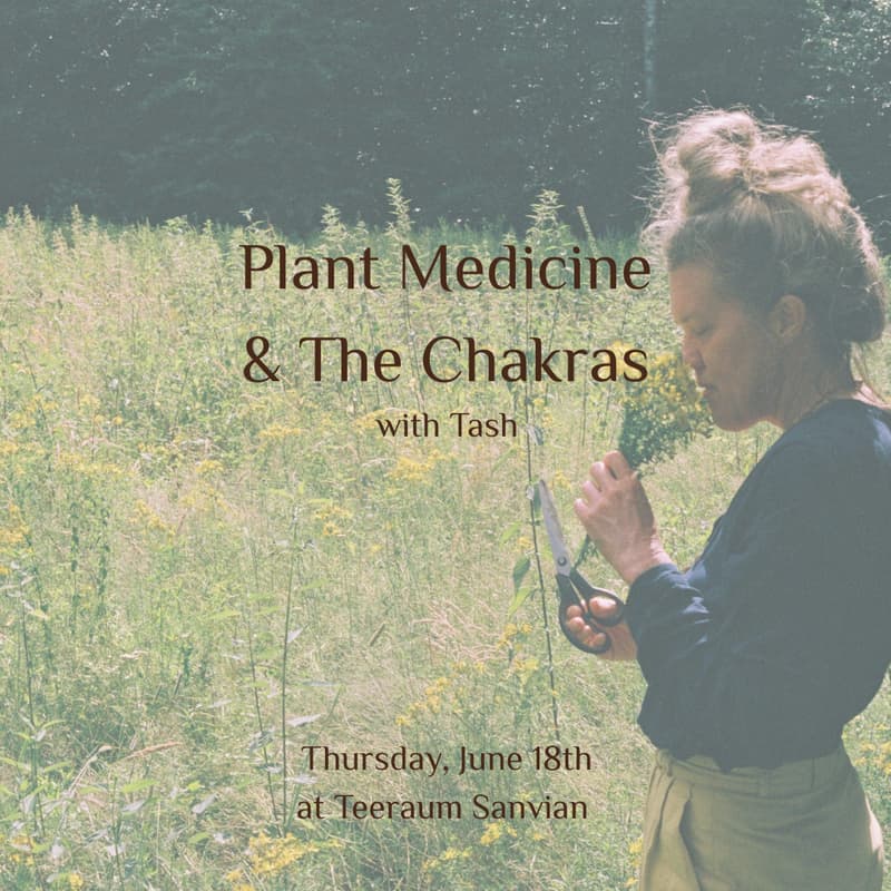 Cover Image for Plant Medicine & The Chakras