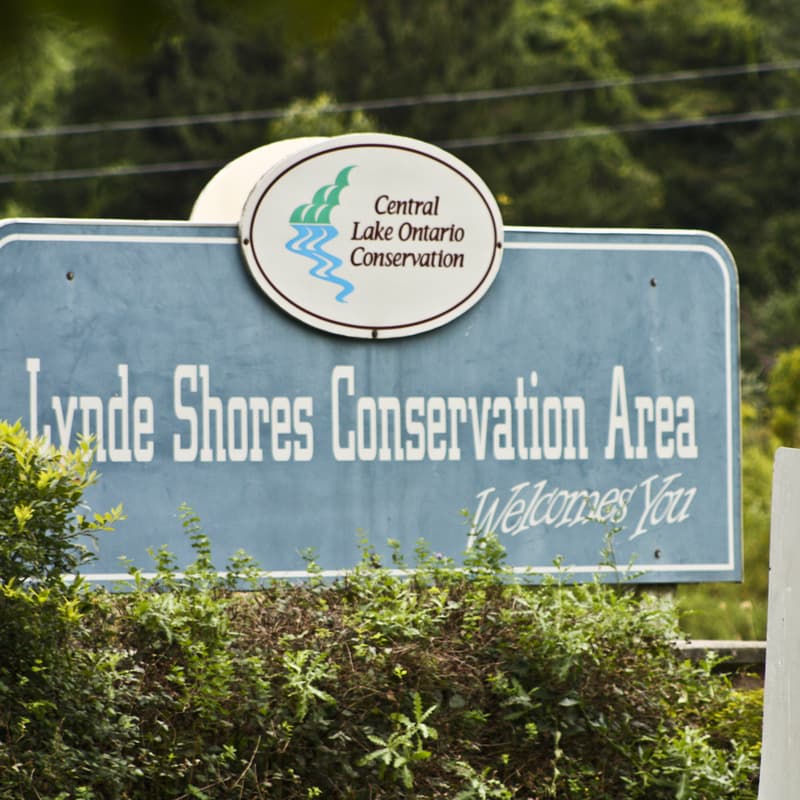 Cover Image for Whitby Shores Hike