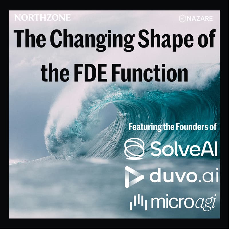 Cover Image for The Changing Shape of the FDE Function