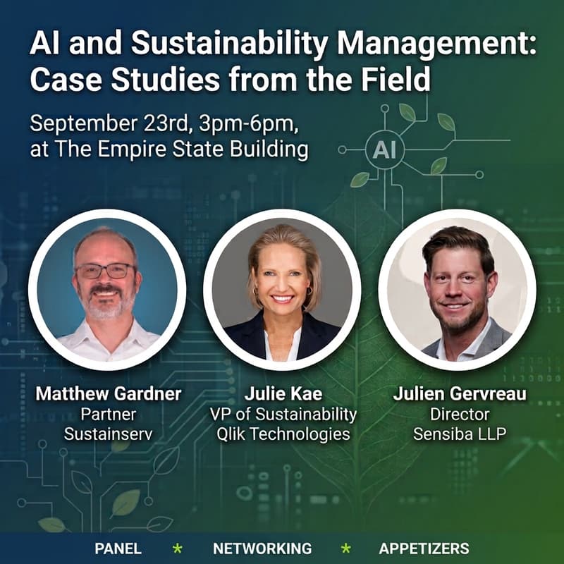 Cover Image for AI and Sustainability Management: Case Studies from the Field