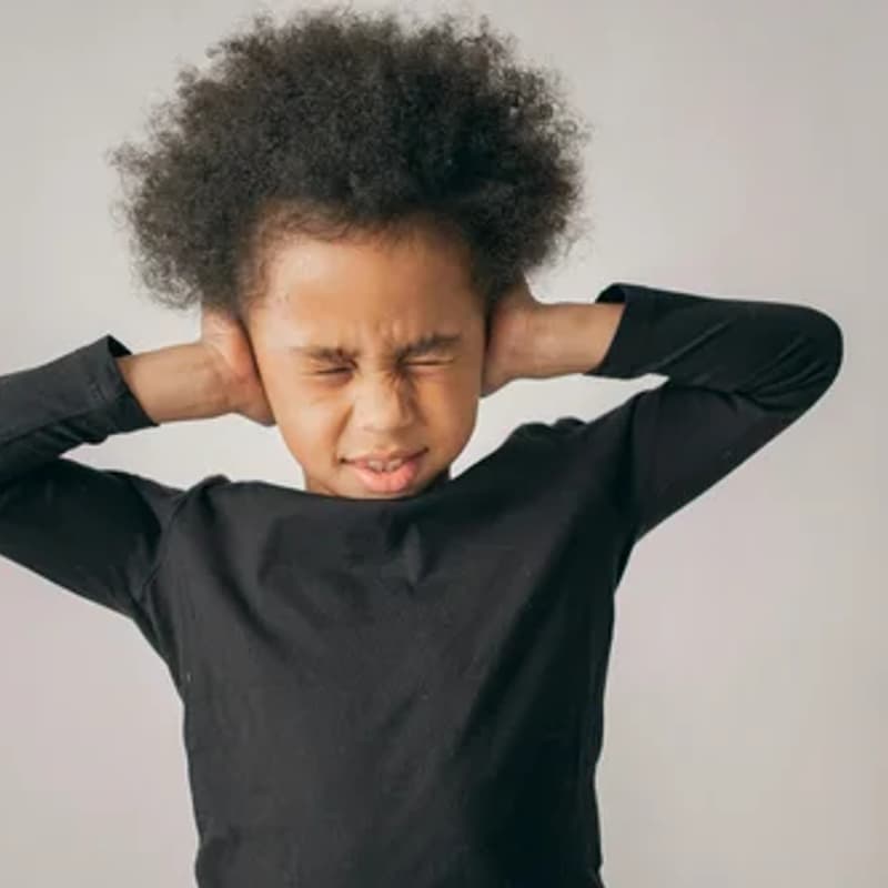 Cover Image for The Hidden Impact of Noise on Early Learning