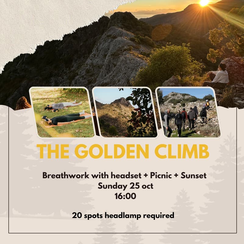 Cover Image for The Golden Climb! 🌅