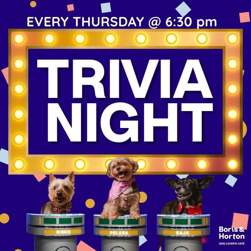 Cover Image for Thursday Trivia Night!