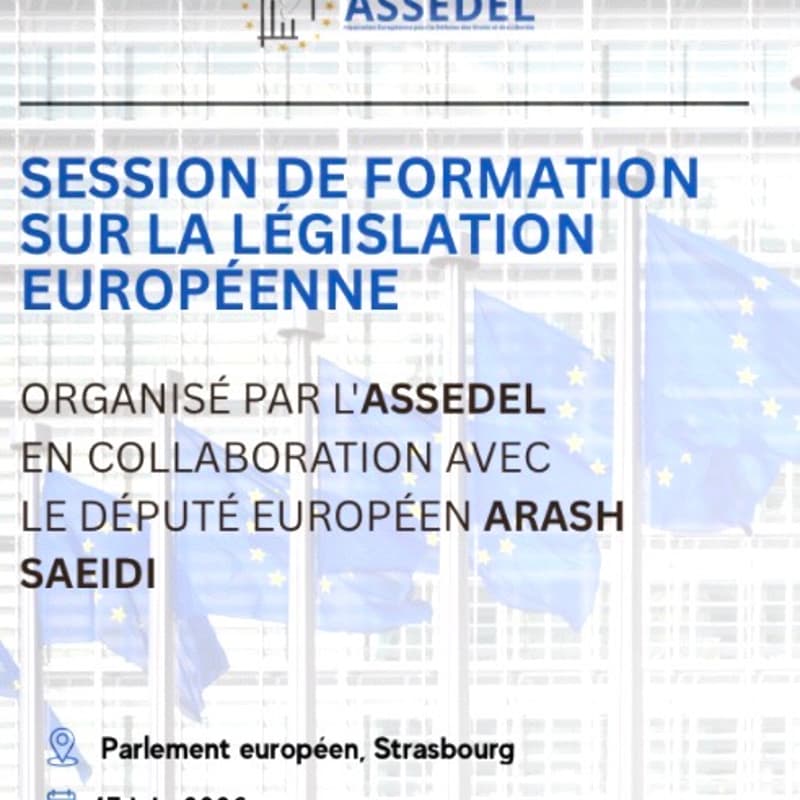 Cover Image for Session De Formation Avec Le Député Européen Arash Saeidi