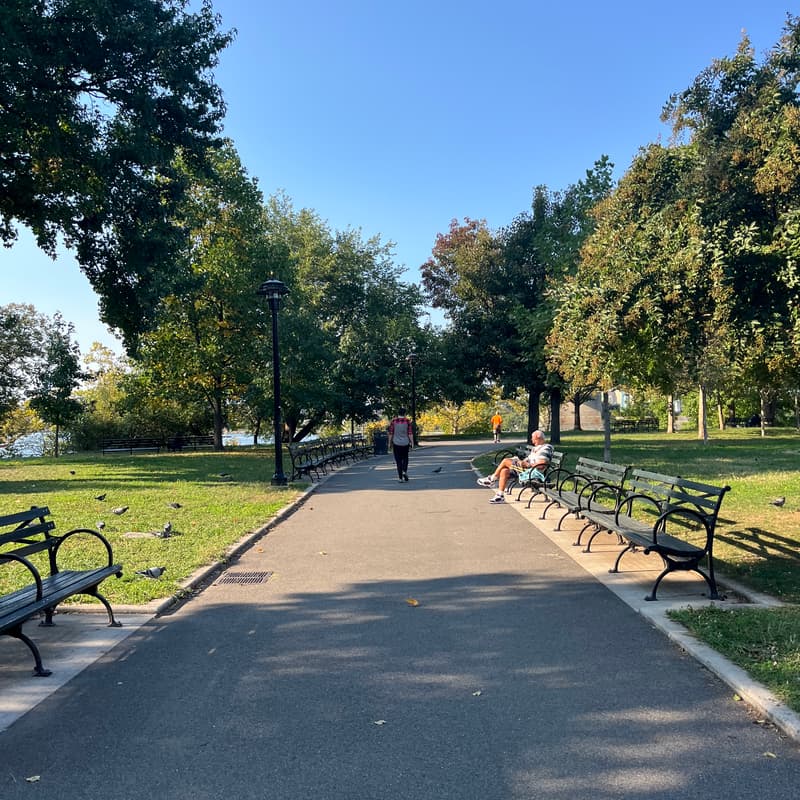 Cover Image for Reading In The Park