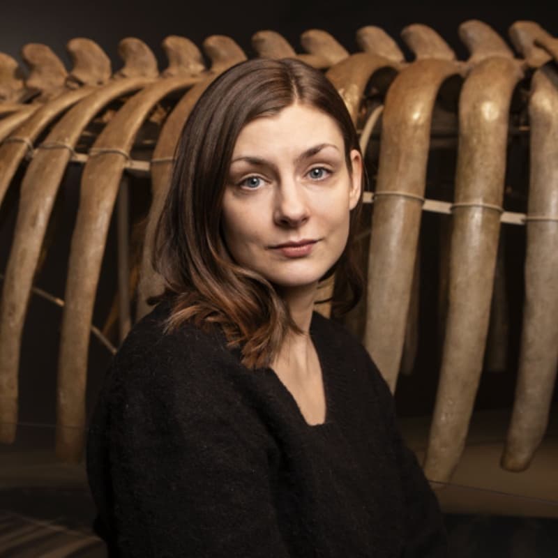 Cover Image for Evening with Iida Turpeinen
