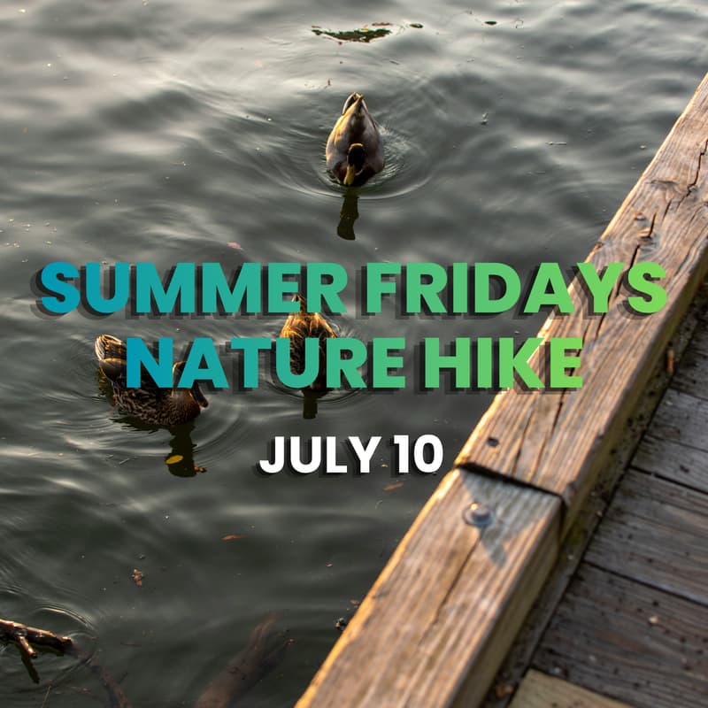 Cover Image for Summer Fridays: DC Nature Hike