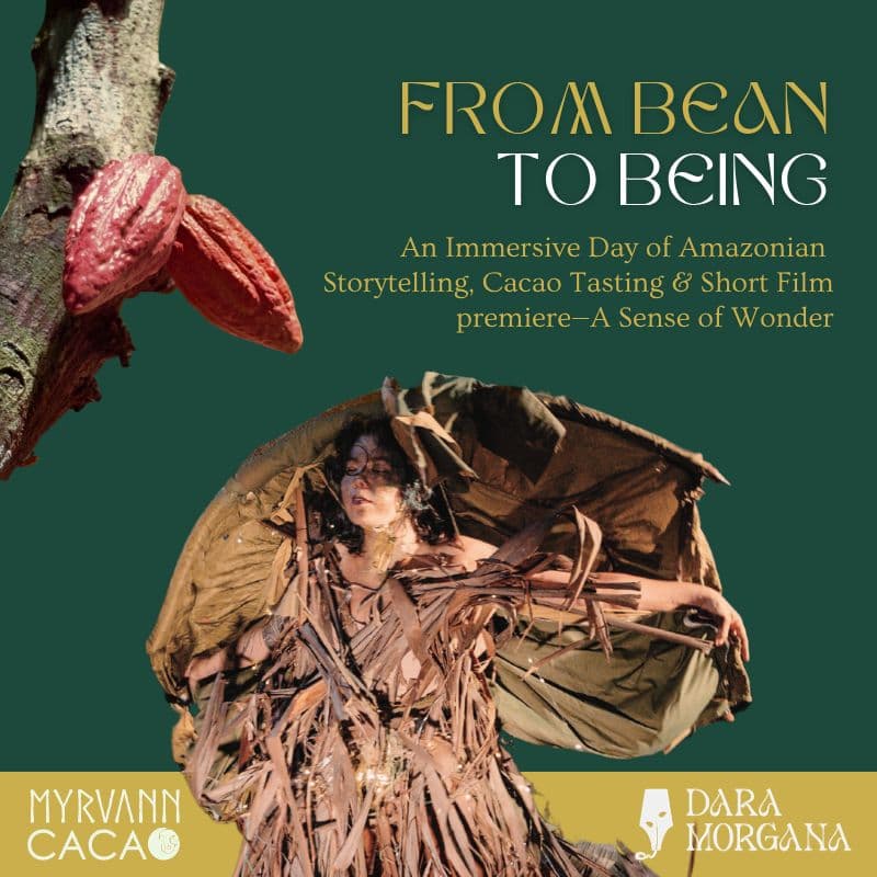 Cover Image for FROM BEAN TO BEING: backstories of cacao + short film premiere by Dara Morgana