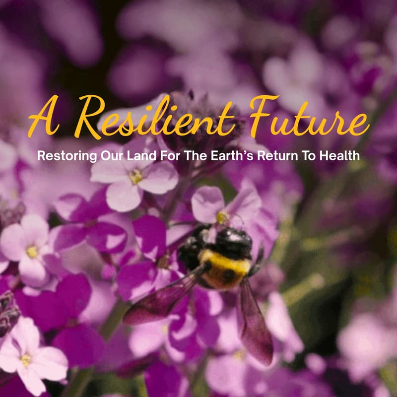 Cover Image for A Resilient Future Premiere