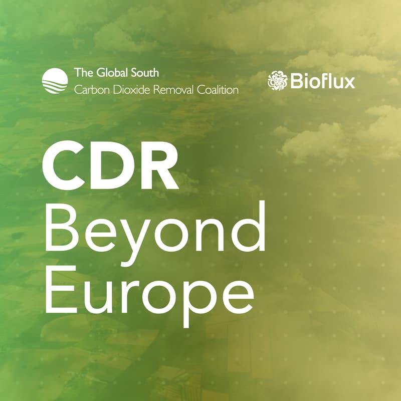 Cover Image for CDR beyond Europe: what a global removals market means for the EU