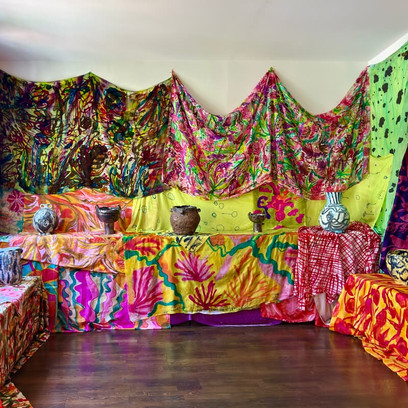 Cover Image for MSG SILK / Open Studio/ Marsea Goldberg