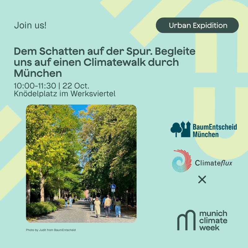 Cover Image for Dem Schatten auf der Spur